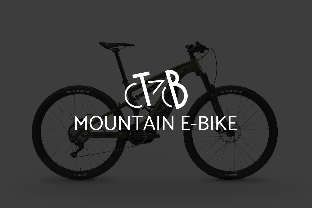 Mountain E-Bike