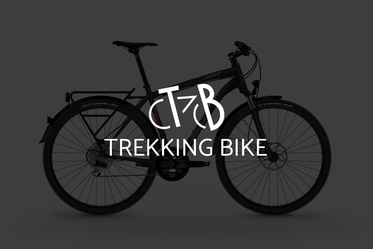 Trekking Bike