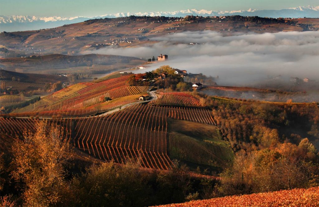 A breathtaking dive into the hills and vineyards of the Langhe